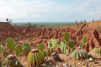 Scenic view of land against sky