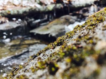 Close-up of rocks on rock
