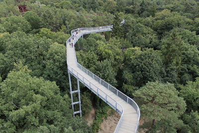 Bridge in forest