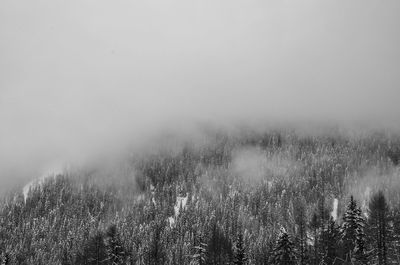 Scenic view of trees against sky during foggy weather