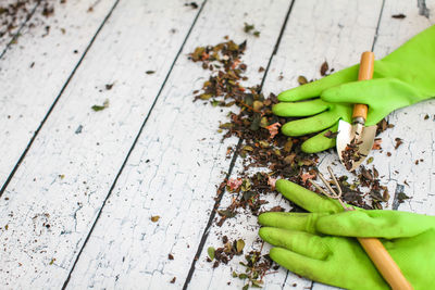 High angle view of vegetables on table