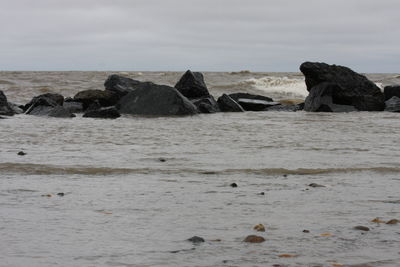 Rocks on sea shore against sky