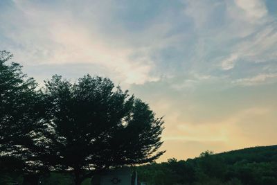 Low angle view of silhouette trees against sky during sunset