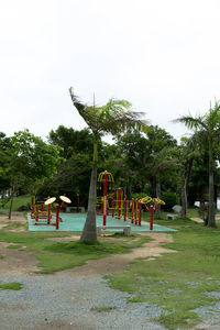 Trees in park against clear sky