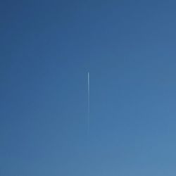 Low angle view of tree against clear blue sky