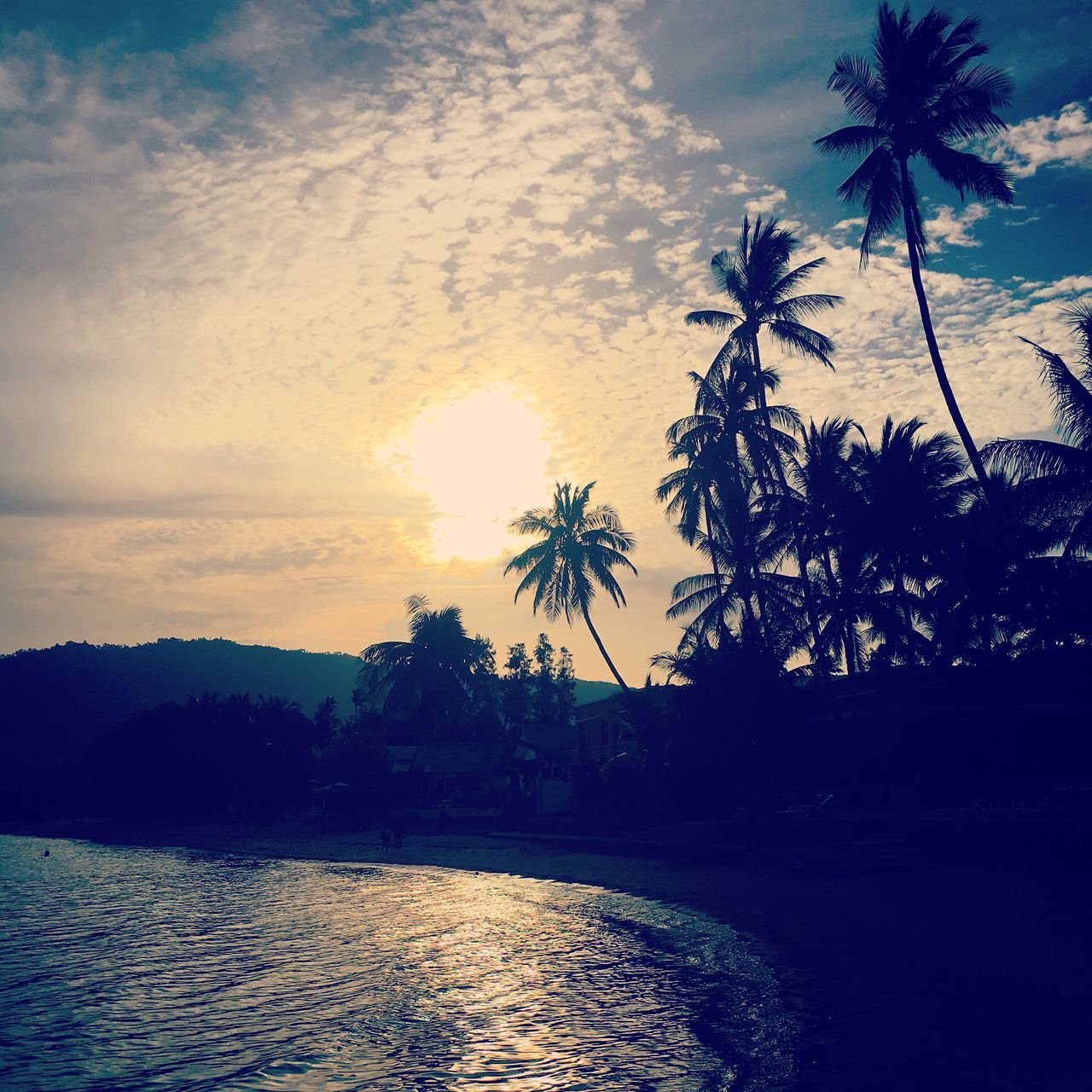 tree, water, tranquil scene, silhouette, tranquility, scenics, waterfront, sky, lake, beauty in nature, sunset, growth, sun, nature, calm, cloud, outdoors, cloud - sky, solitude, outline, lens flare, remote, sea, no people, non-urban scene