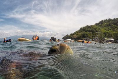 People swimming in sea against sky