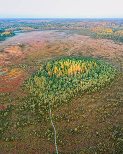 High angle view of field