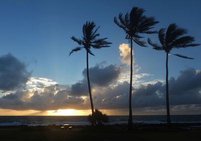 Silhouette palm trees on beach against sky during sunset