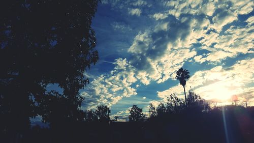 Low angle view of trees against sky