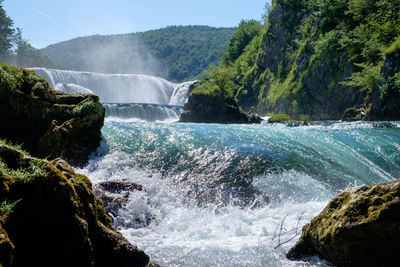 Scenic view of waterfall in forest