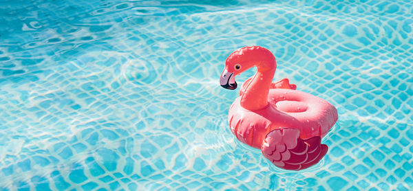 Small inflatable flamingo on blue water background, summer concept banner