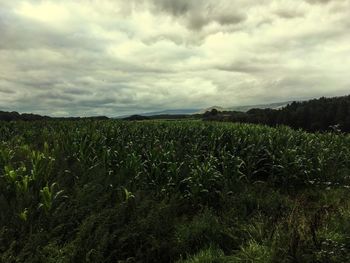 Scenic view of field against cloudy sky