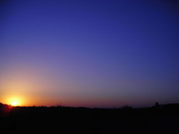 Scenic view of silhouette trees against clear sky at sunset