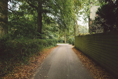 Empty road amidst trees