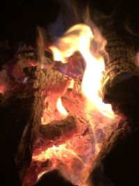 Close-up of bonfire at night