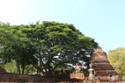 Low angle view of a temple