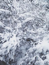 Scenic view of snow covered landscape