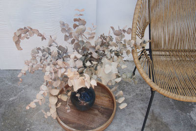 High angle view of flowering plants on table