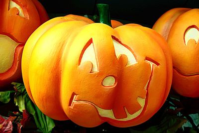 Close up of red flower