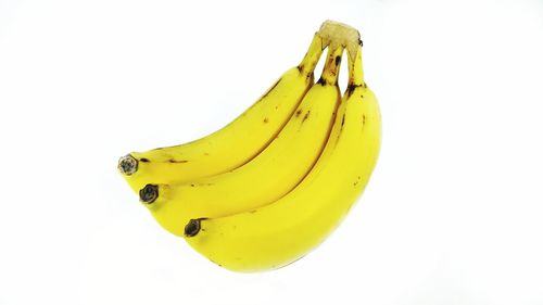 Close-up of yellow fruit against white background