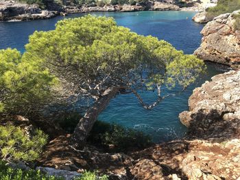 High angle view of rocks by sea