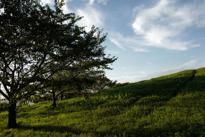 Scenic view of grassy field against cloudy sky