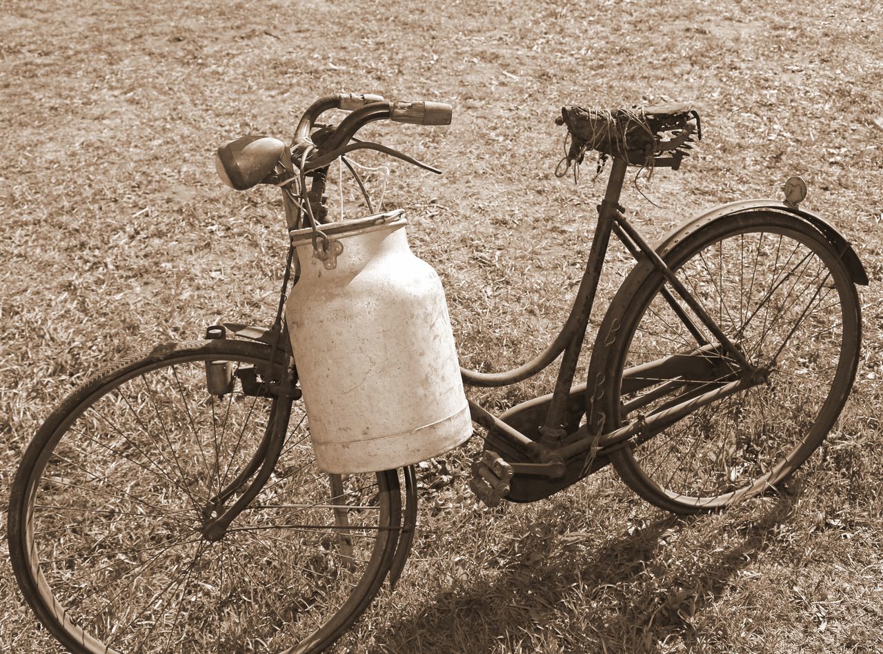 BICYCLE IN FIELD