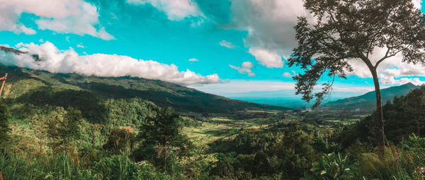 Scenic view of landscape against sky