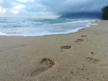 Scenic view of beach against sky