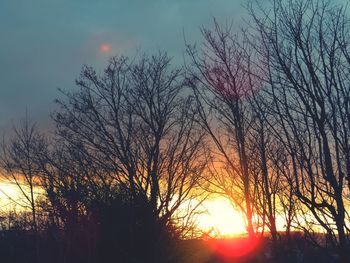 Silhouette bare trees against sky during sunset