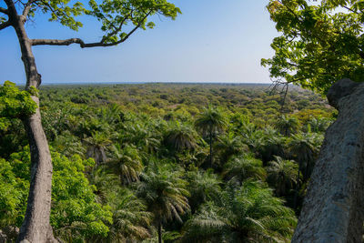 Scenic view of landscape against clear sky