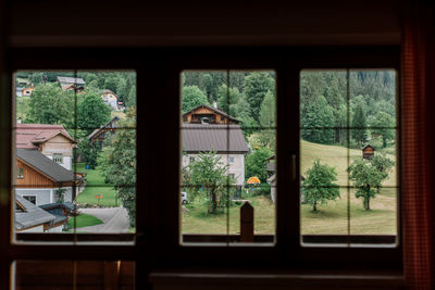 Plants seen through window of house