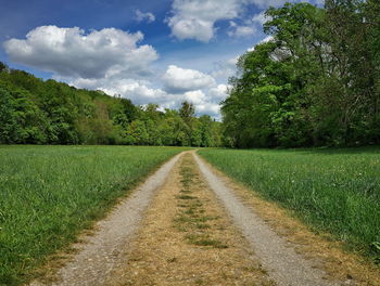 Trail amidst trees on field against sky