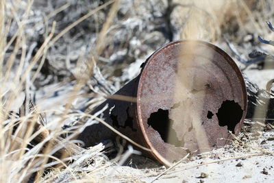 Close-up of rusty metal