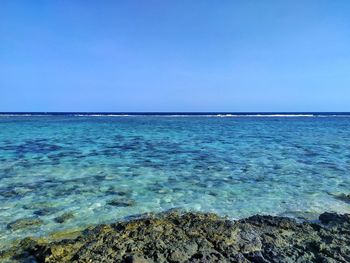 Scenic view of sea against clear blue sky