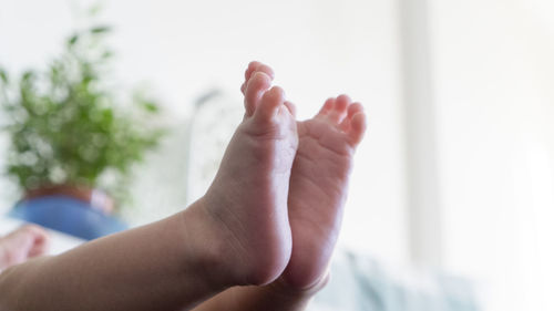 Close-up of hands against blurred background