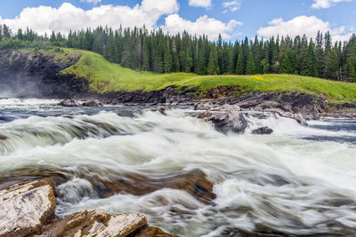 Scenic view of stream flowing through rocks in forest