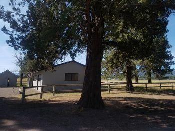 Trees and houses on field against sky