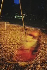 Blurred motion of a horse on road