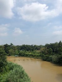 Scenic view of landscape against sky