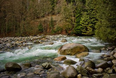 Stream flowing through rocks in forest