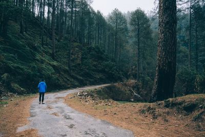 Rear view of man walking on footpath in forest