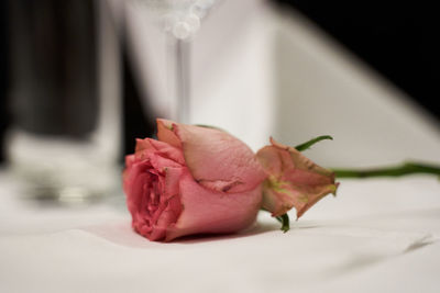 Close-up of rose bouquet