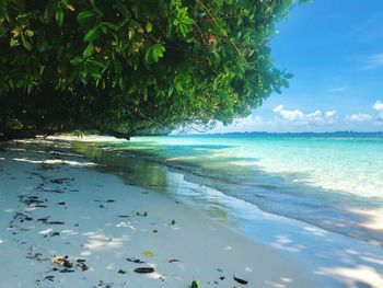 Scenic view of sea against sky