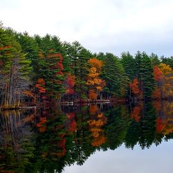 Scenic view of lake by trees against sky