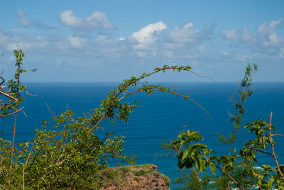 Scenic view of sea against blue sky