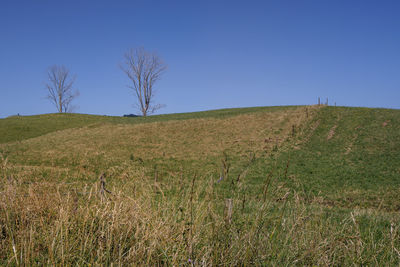 Scenic view of field against clear sky