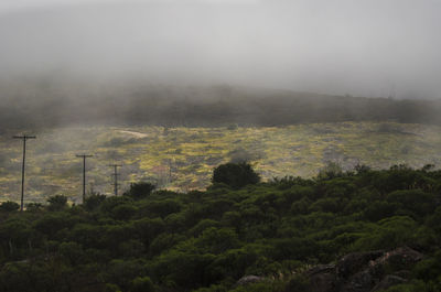 Scenic view of landscape against sky during foggy weather