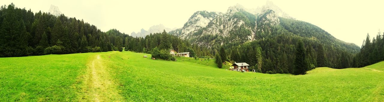 grass, green color, nature, mountain, landscape, field, tree, tranquility, tranquil scene, beauty in nature, no people, scenics, rural scene, growth, day, agriculture, outdoors, panoramic, sky